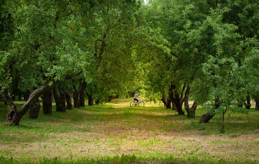 Photograph by Олеся Лагутина