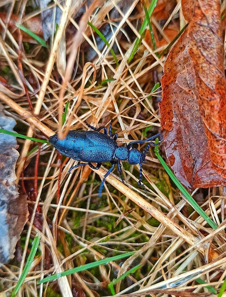 Photograph by Сергей Симаков