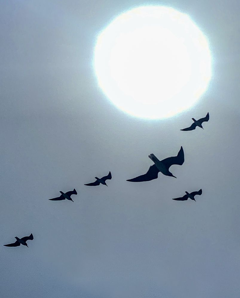 Photograph by Колтунова Алевтина