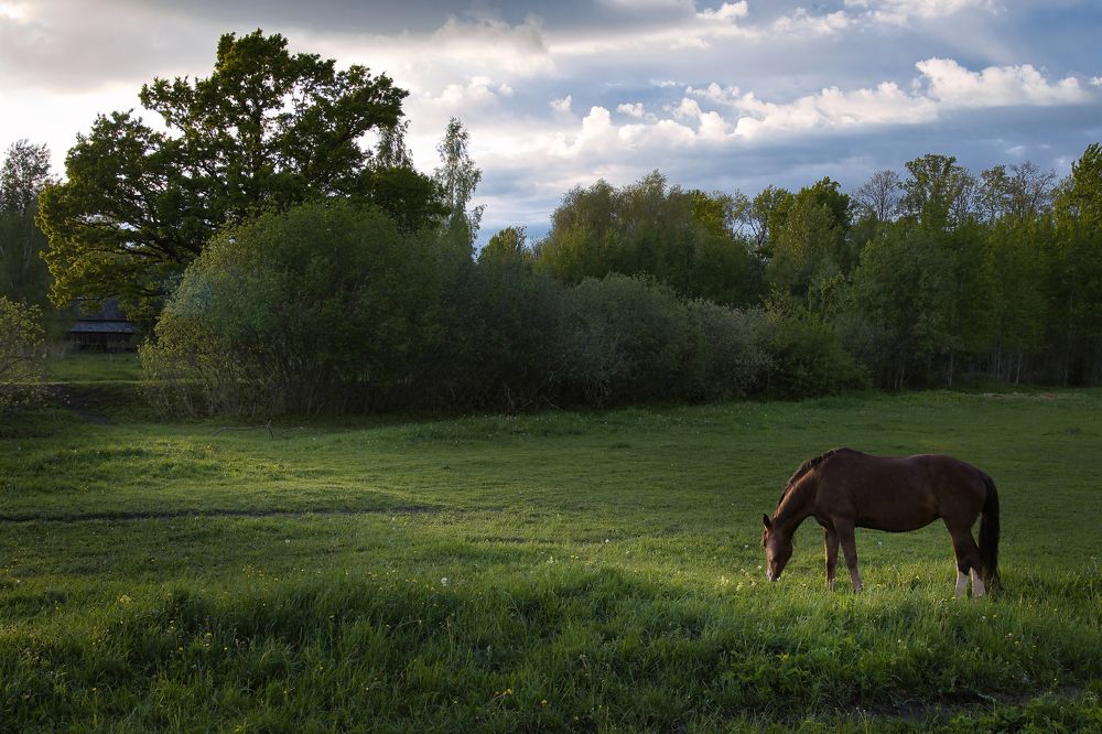 Photograph by Jānis Sērdienis