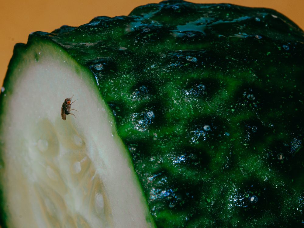 Photograph by Степанец Дмитрий