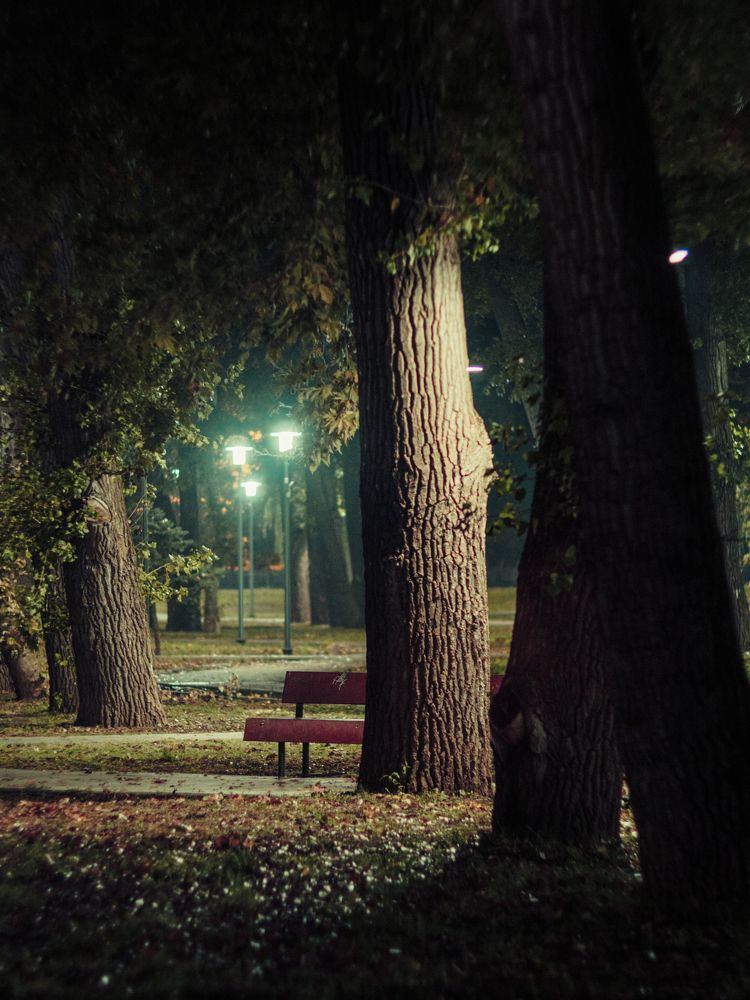 Photograph by Степанец Дмитрий