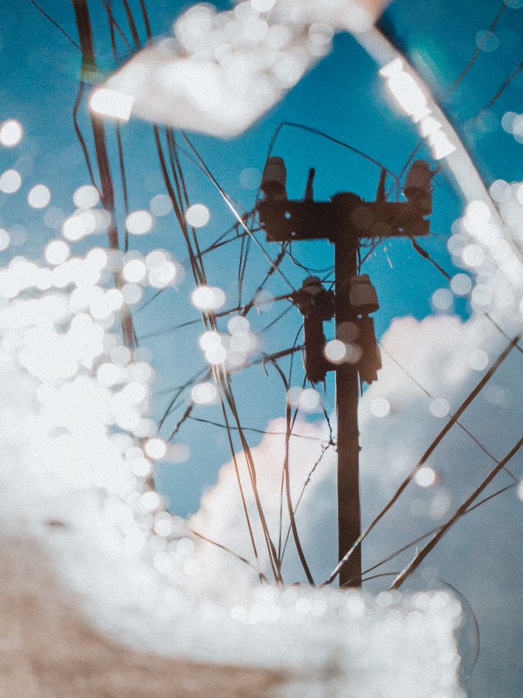 Photograph by Степанец Дмитрий