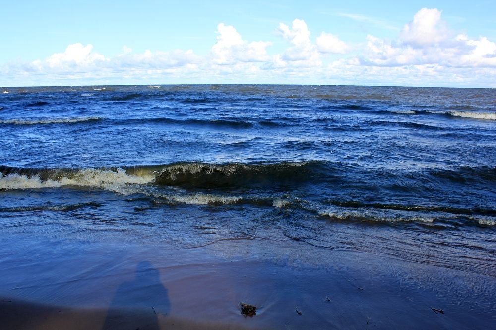 Photograph by Olga Bagaeva