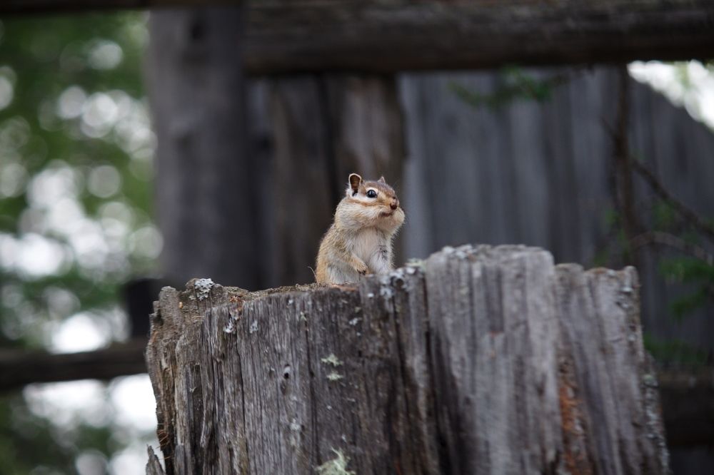 Photograph by Виктория Эверстова