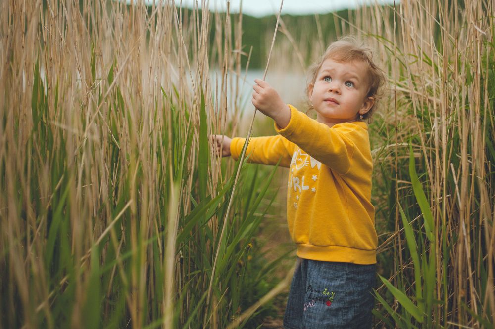 Photograph by Михаил Кондрухов