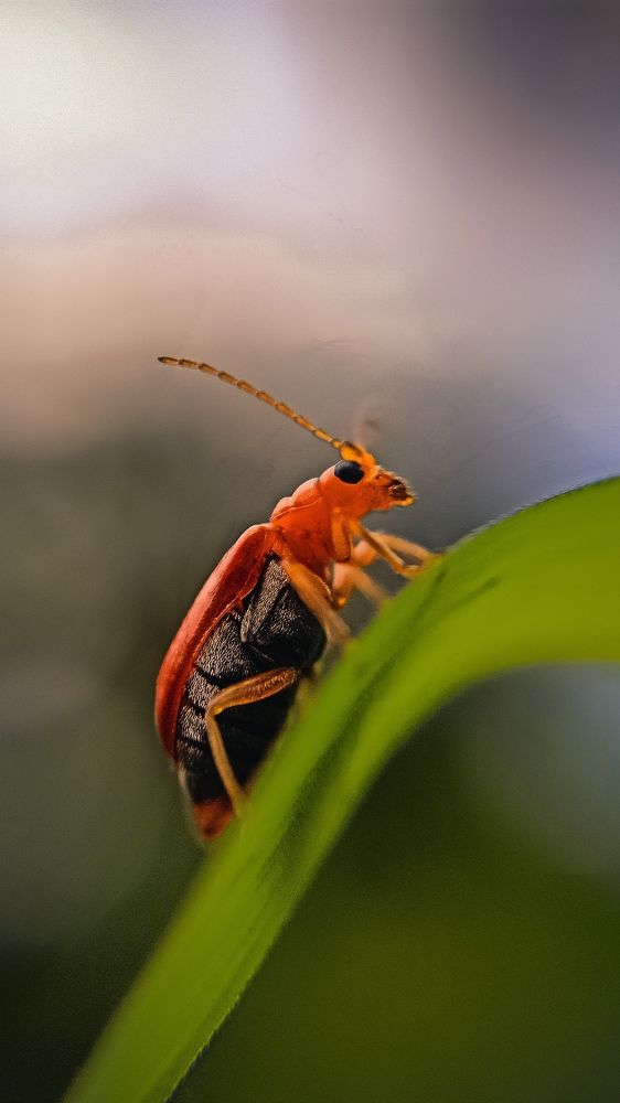 Photograph by Venkatesh r Kamath