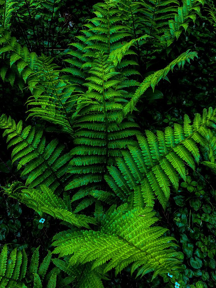 Photograph by Сергей Шевень