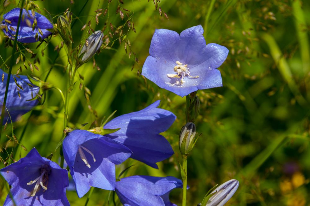 Фотография автора Валерий Клейменов