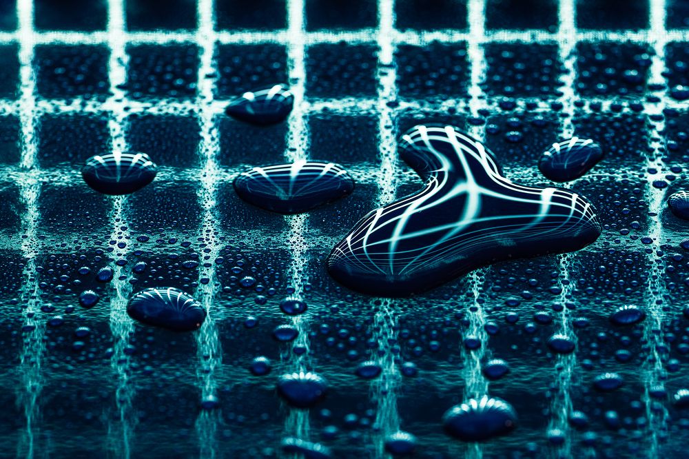 Photograph by Abel Cancino Gutierrez