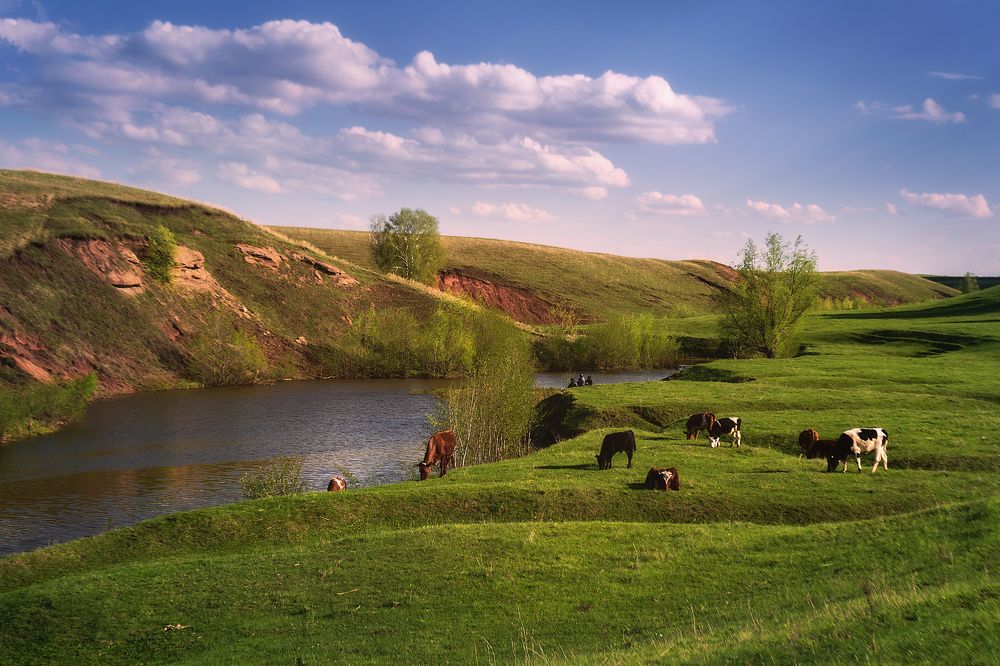 Был месяц май...