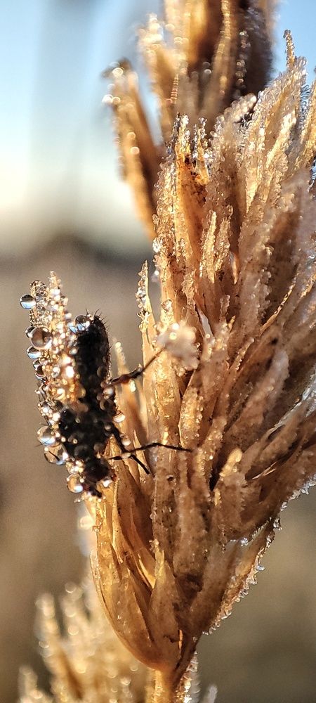 Photograph by Эдуард Саитгалеев