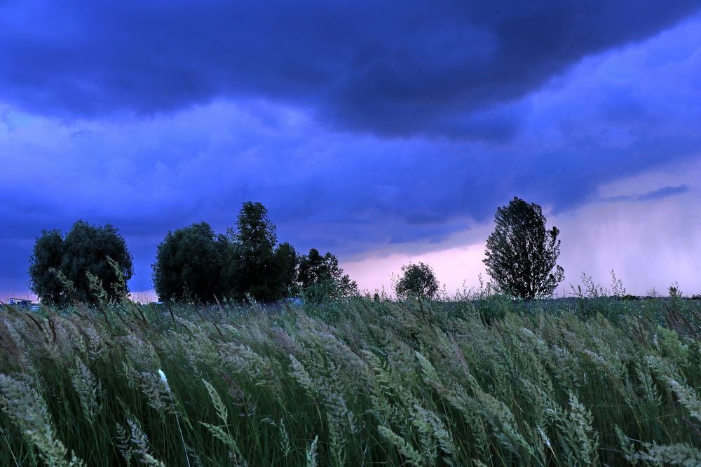 Photograph by Владимир Подкуйко