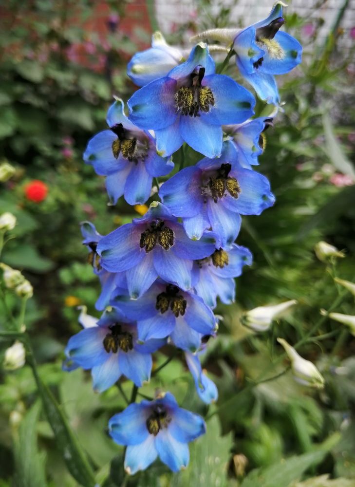 Photograph by Наталия