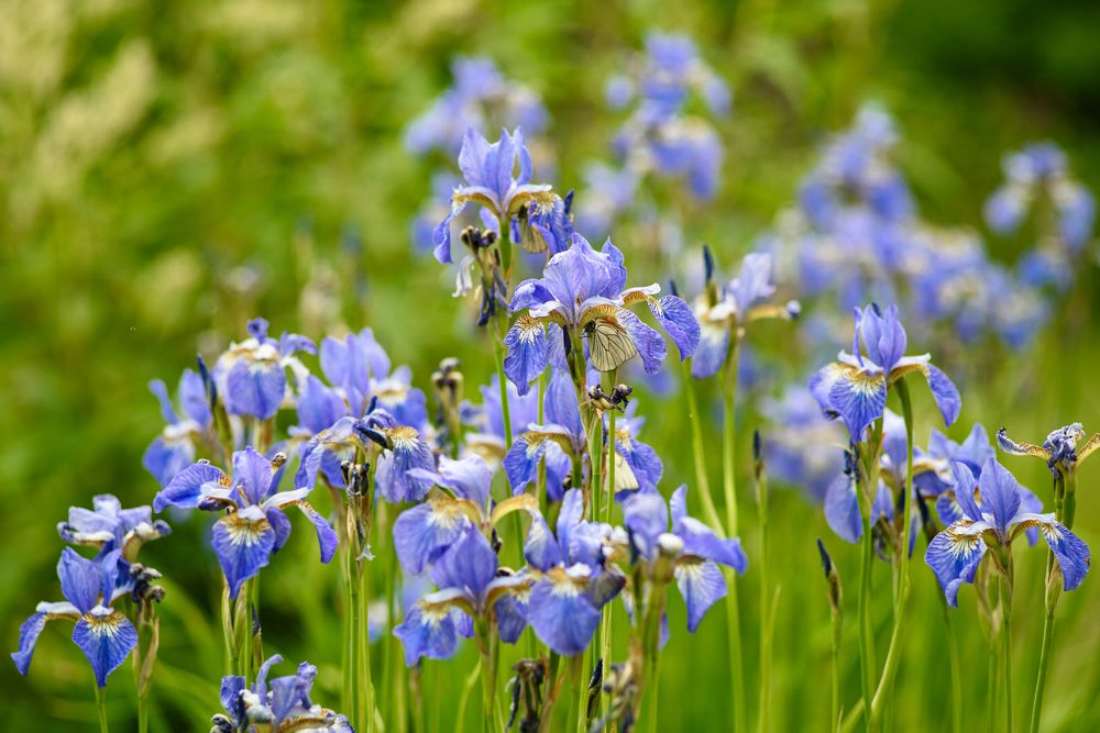 Photograph by Равиль Исмаилов