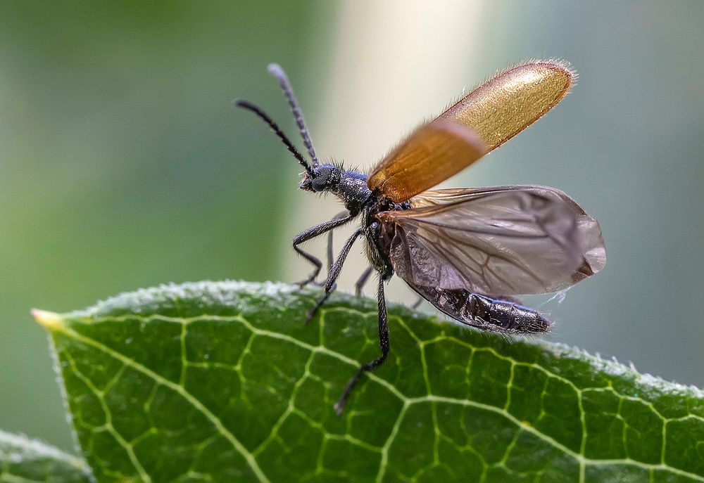 Photograph by Александр Широких