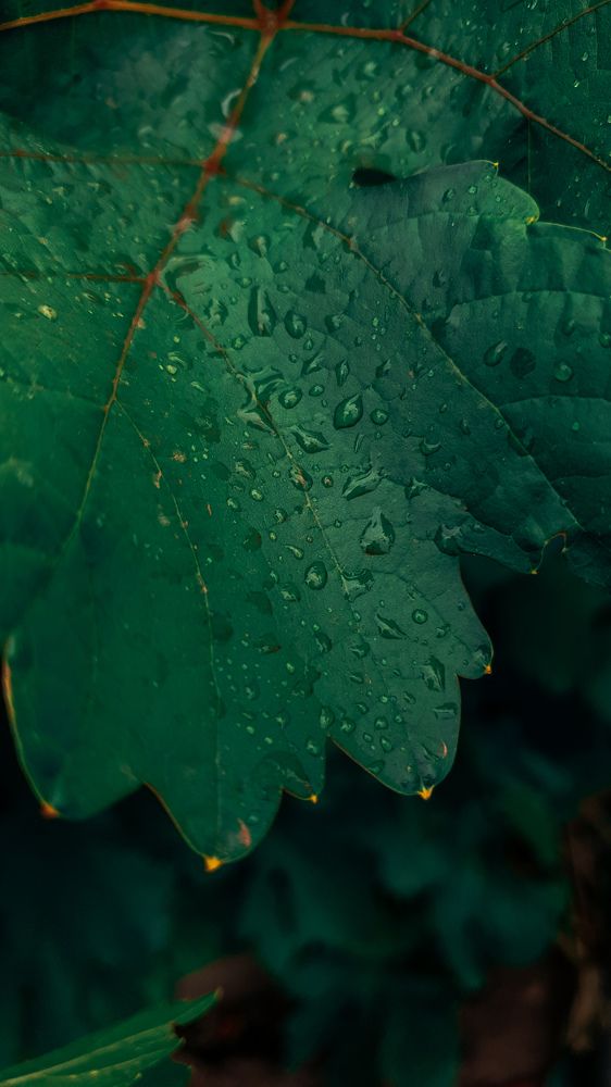 Photograph by Хоменко Евгения