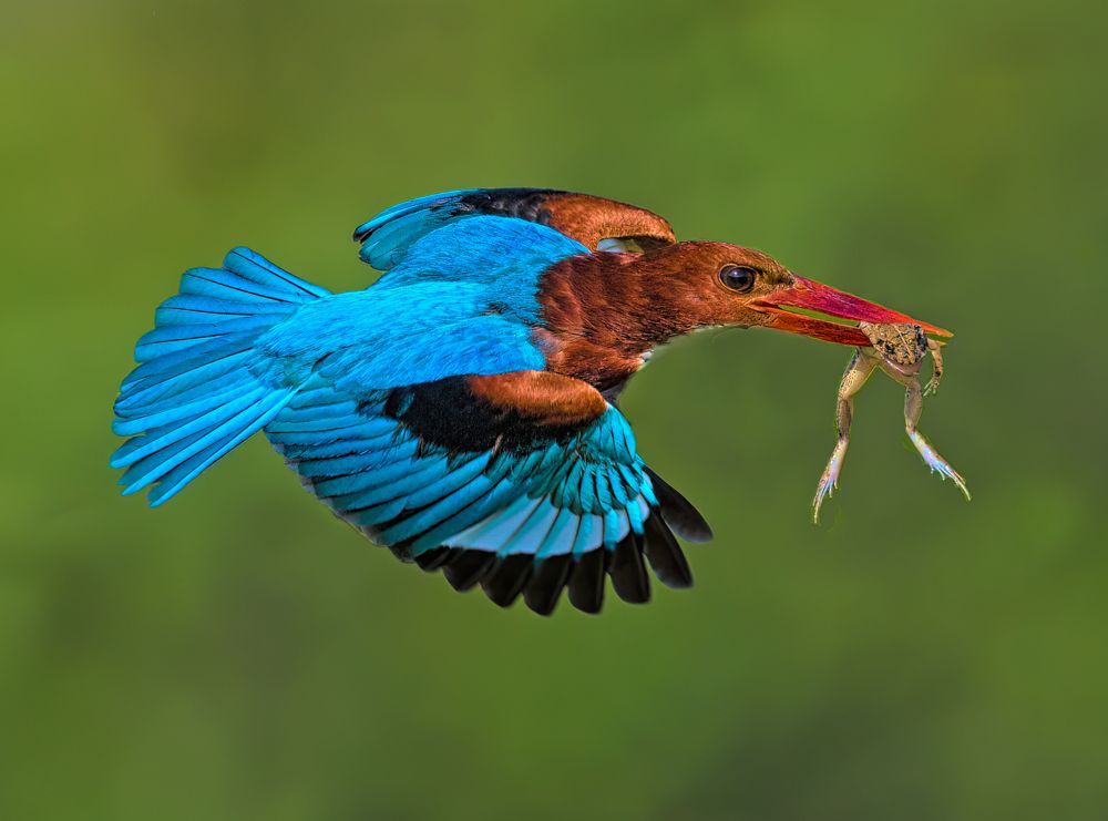 Photograph by Graeme Guy