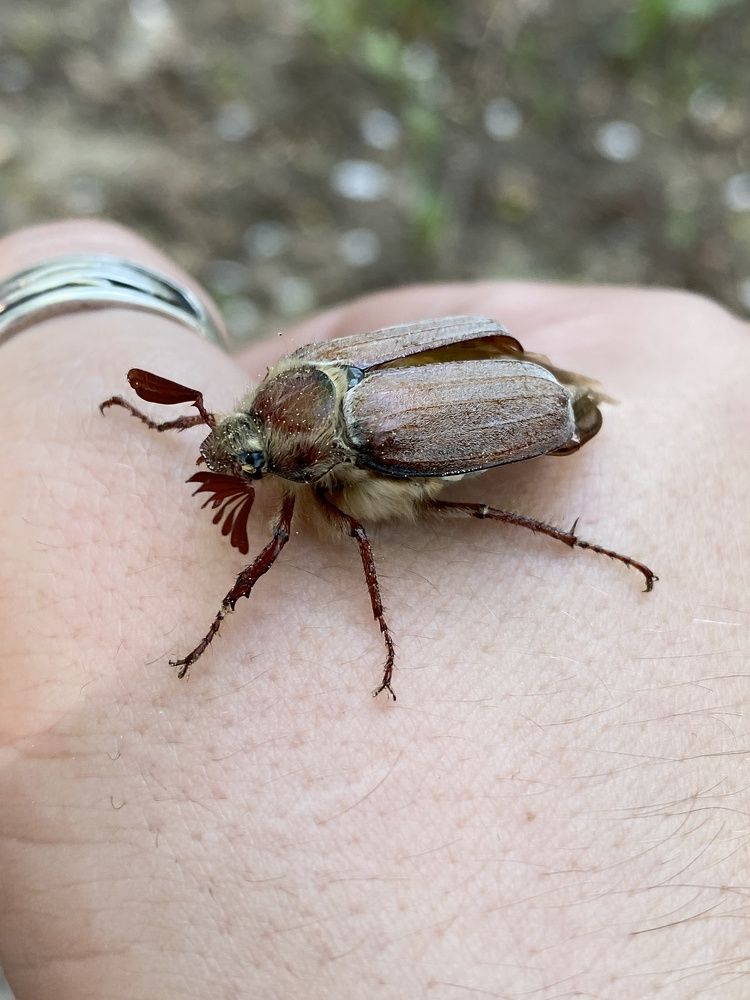 Photograph by Виктор Тюрин