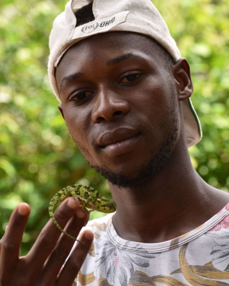 Фотография автора Елена