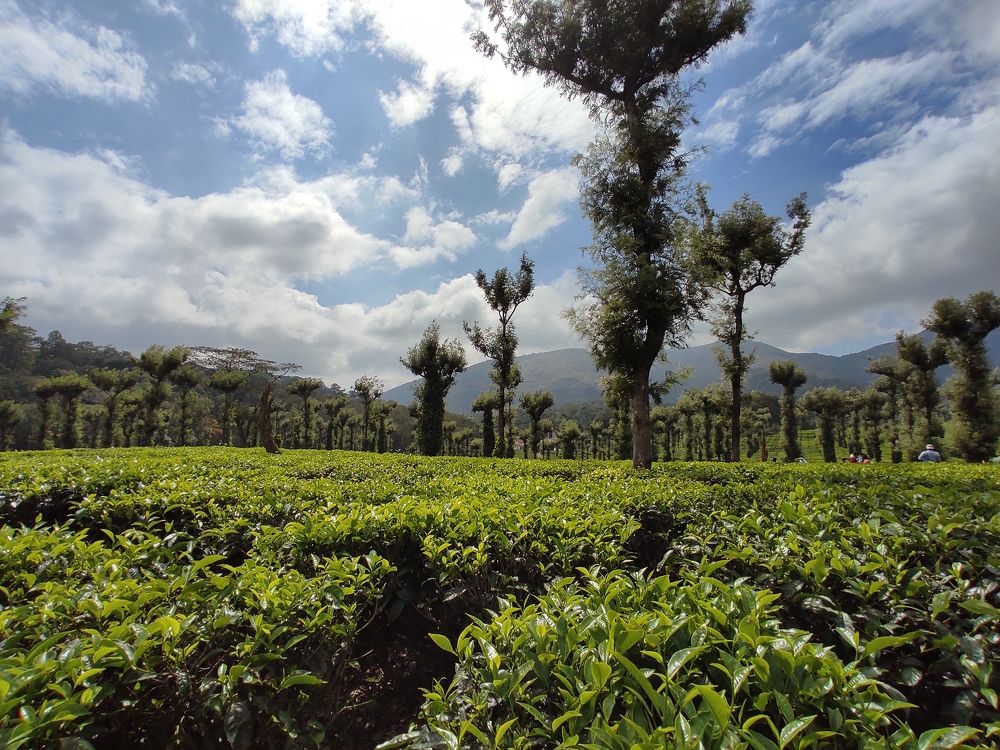 Фотография автора Varsha.M.C