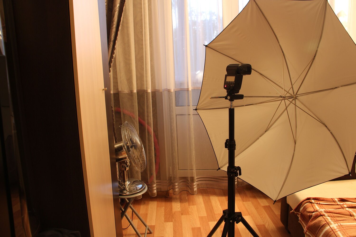 Photo #8044701