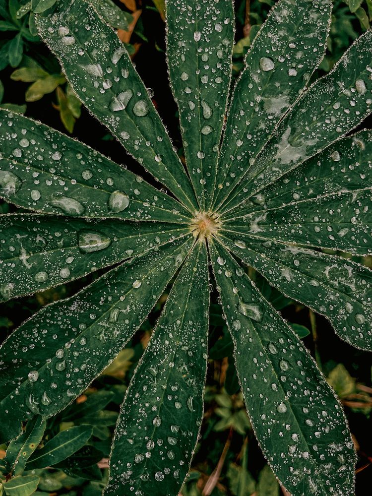 Фотография автора Юлия Недосекина