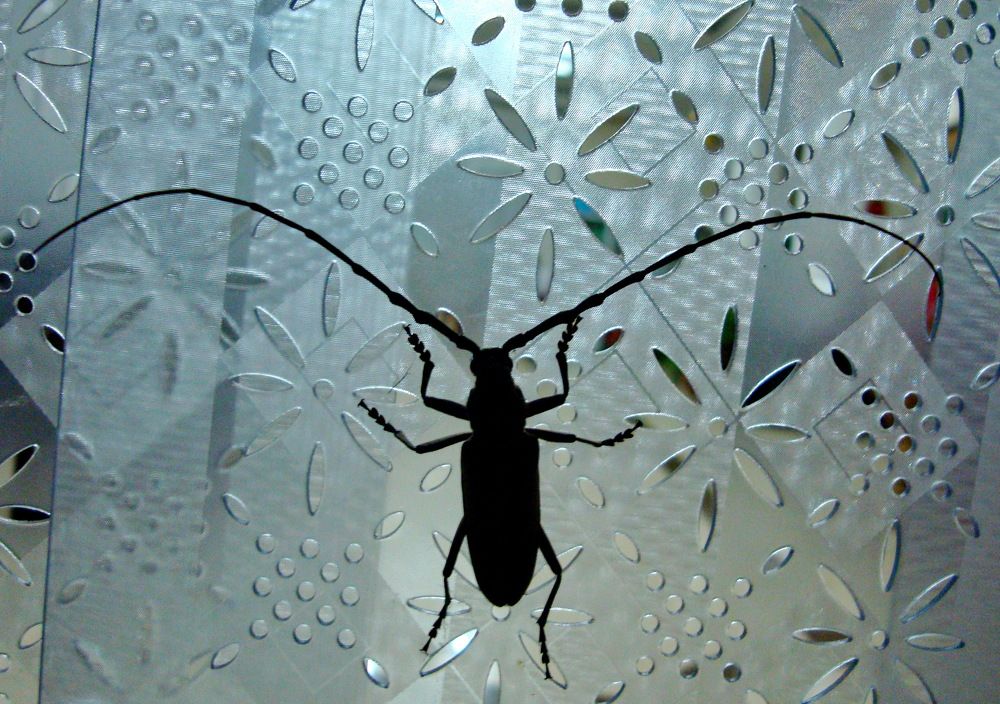 Фотография автора АЛЕКСАНДР ЦЫГЕЛЬНЮК