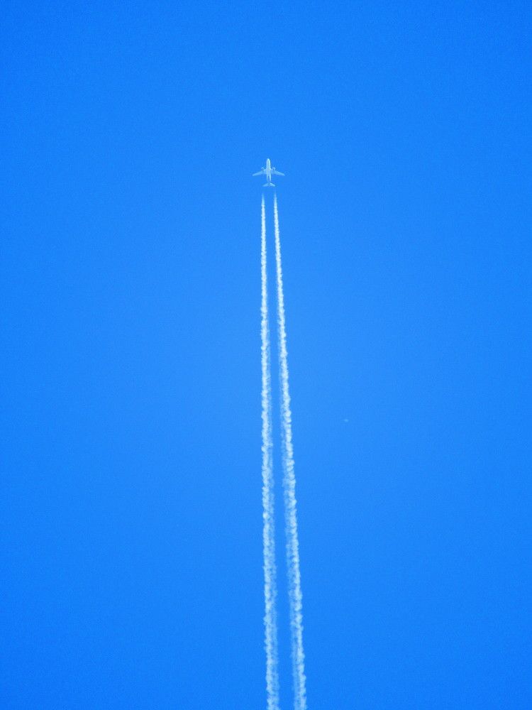 Photograph by Ольга Рогозина