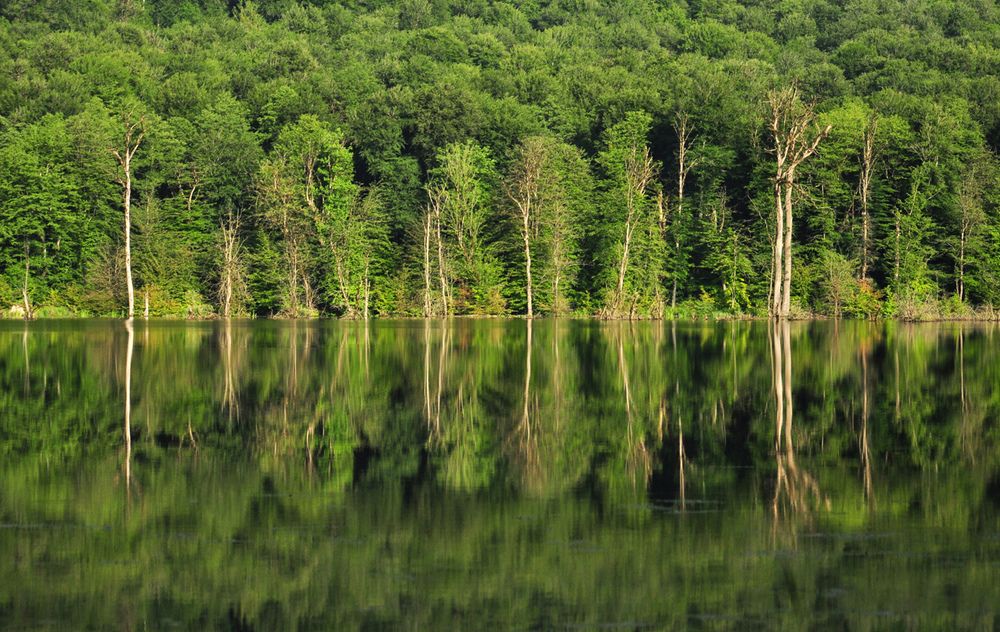 Фотография автора Erfan Rabiei dastjerdi