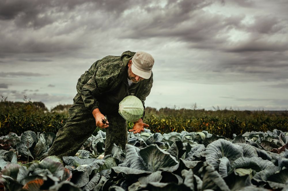 Photograph by Владимир Зайцев