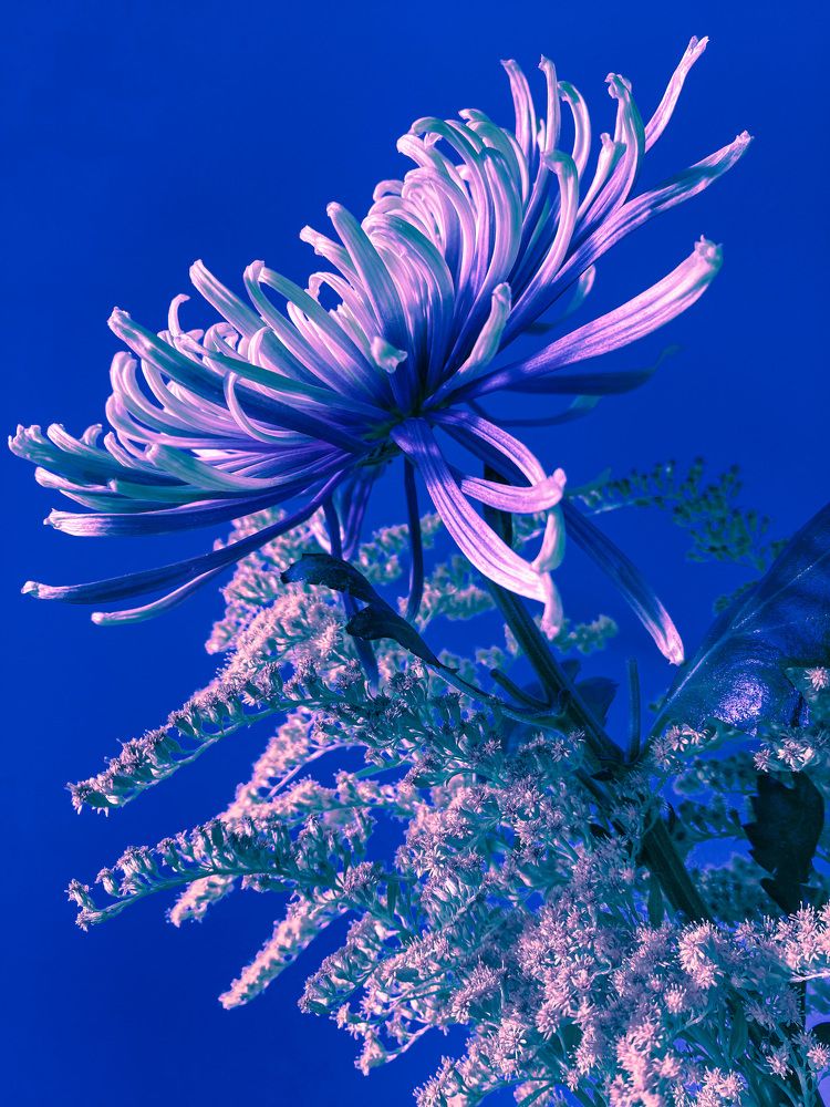 Photograph by Марина Танаева