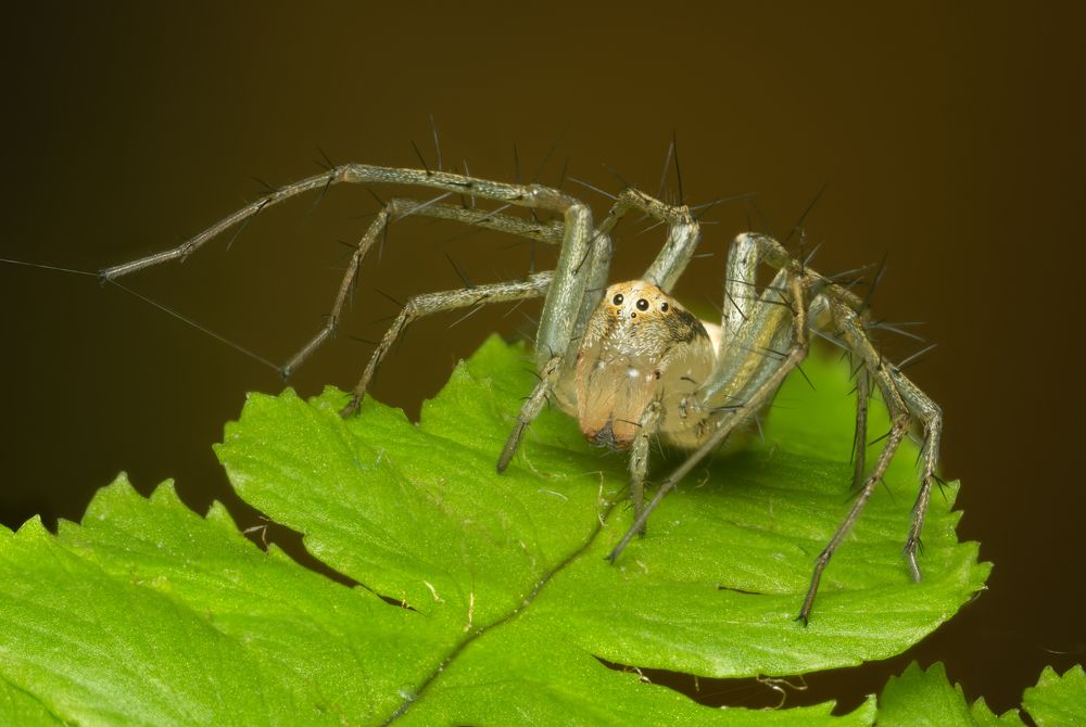 Photograph by Денис Ветренко