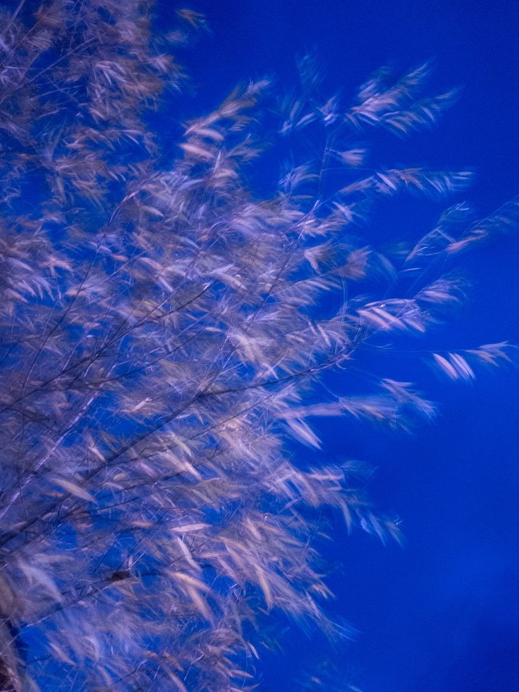 Photograph by Марина Танаева