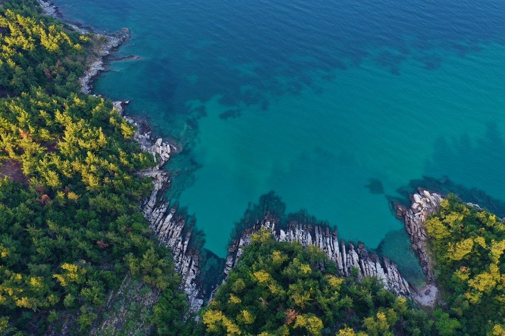 Фотография автора Stefan Alfred