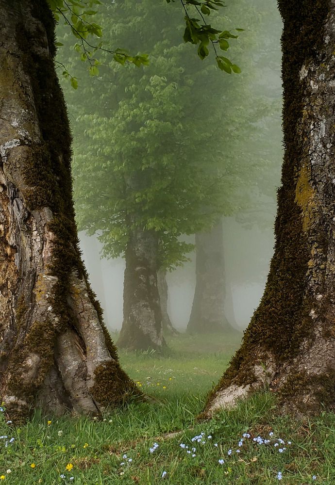 Photograph by amir shadpoor