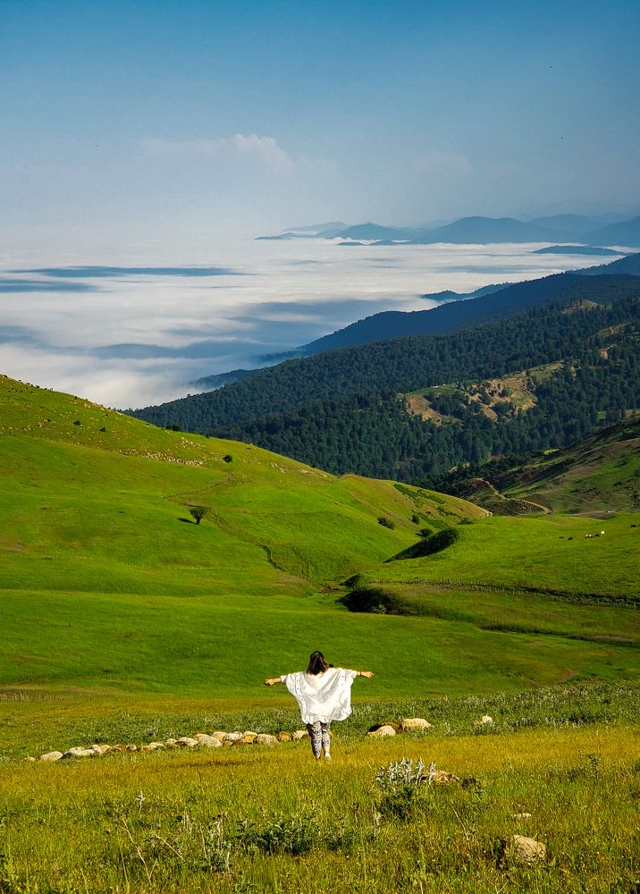 Photograph by amir shadpoor