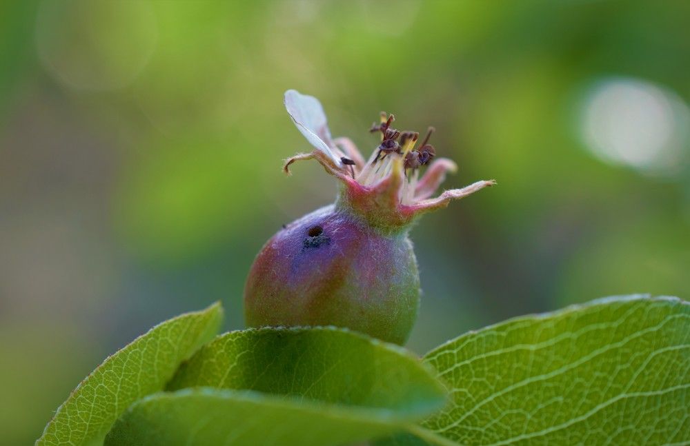 Фотография автора Stefan Alfred