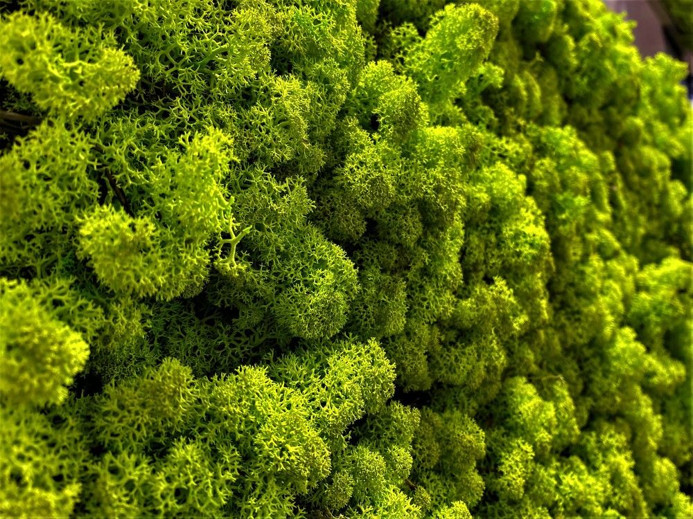 Фотография автора Stefan Alfred