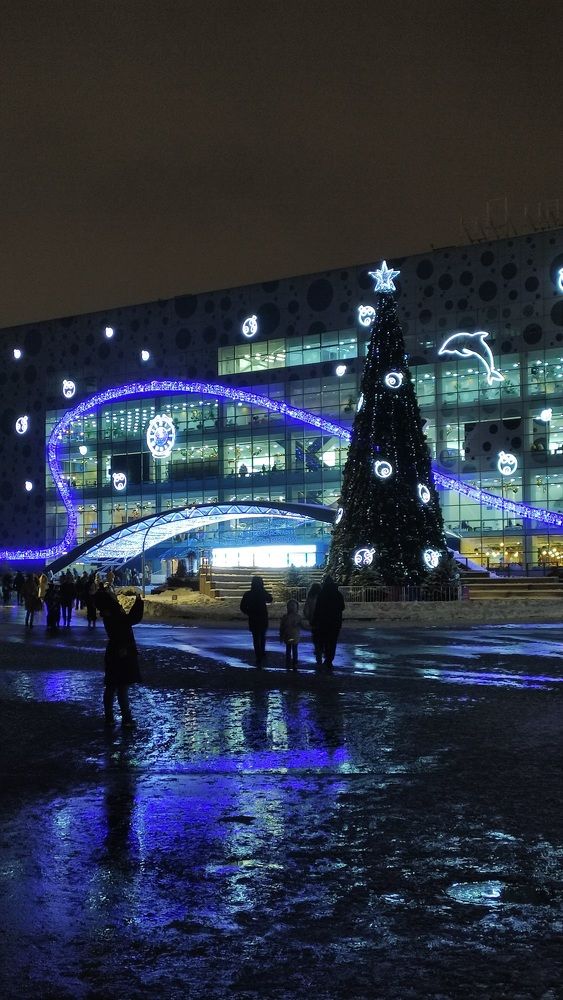 Фотография автора Васильева Ирина