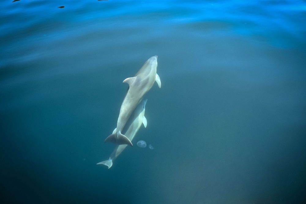 Photograph by Ирина Ри