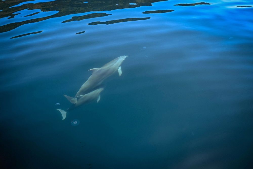 Photograph by Ирина Ри