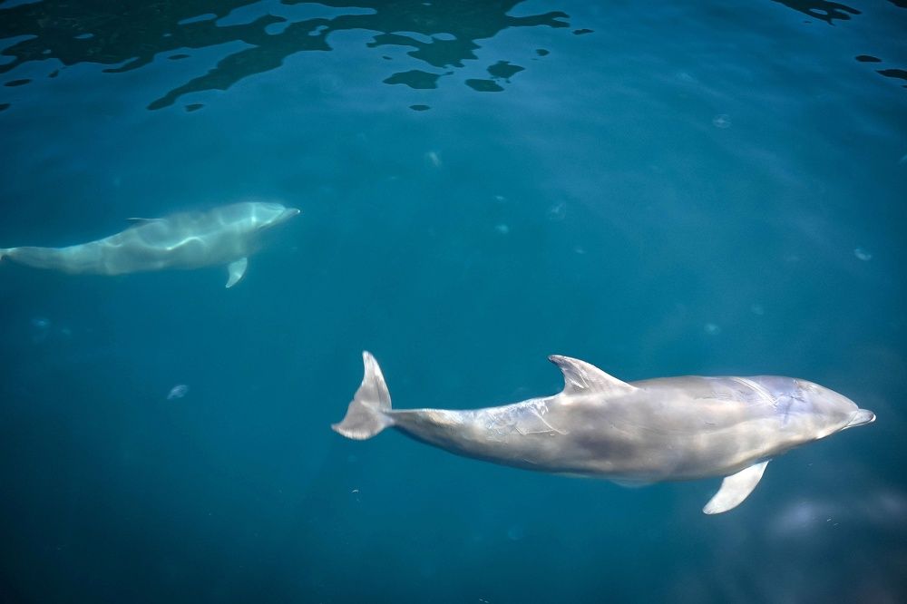 Photograph by Ирина Ри