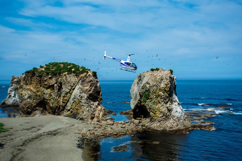 Фотография автора Артур Петросян