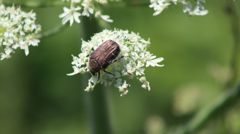 Photograph by Алексей Зудин