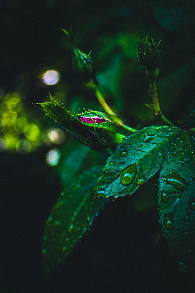 Photograph by Кристина Полякова