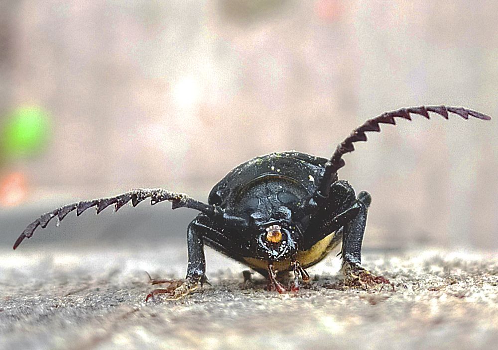 Photograph by Надежда