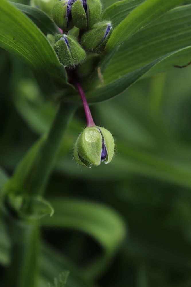 Photograph by Алексейчик Дмитрий