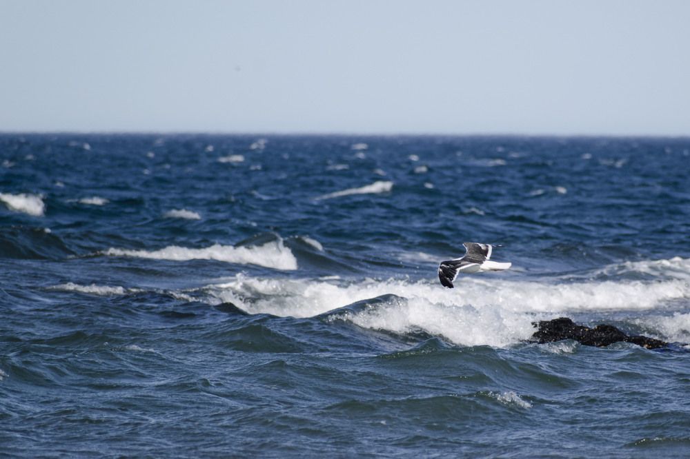 Photograph by Lucía Ruiz