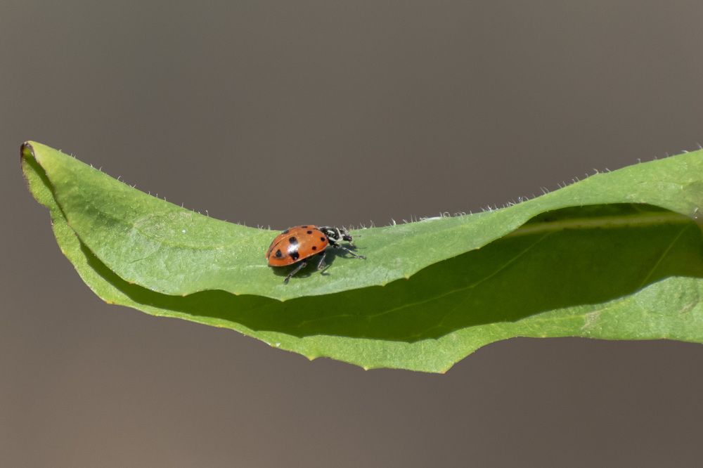 Photograph by Lucía Ruiz